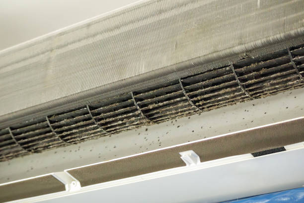 Best Home Air Vent Cleaning  in Neillsville, WI