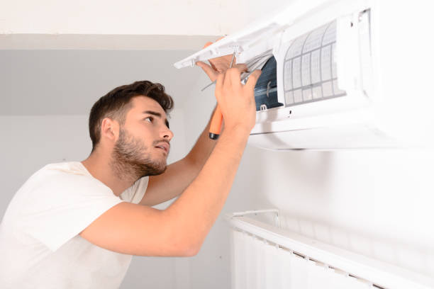 Best Air Duct Sanitizing Services  in Neillsville, WI